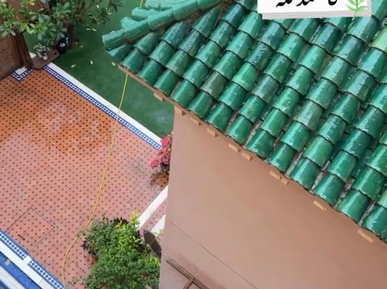 صورة المنتج